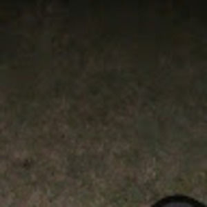 Meet your Posher, Rhonda